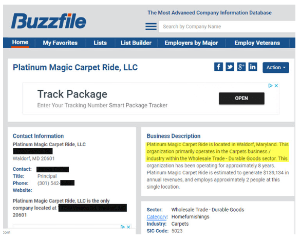 Buzzfile Professional Online Presence